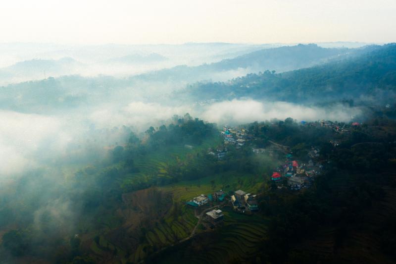 Misty Morning in Himachal